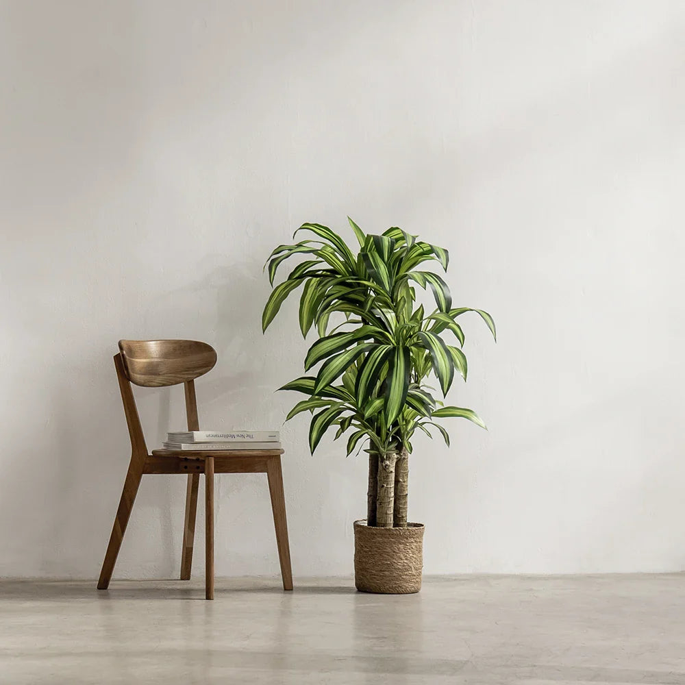 Artificial Dracaena Tree