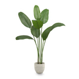 5FT Artificial Bird of Paradise Plant