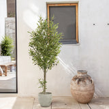 5FT Artificial Olive Tree