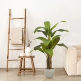 5FT Artificial Banana Tree