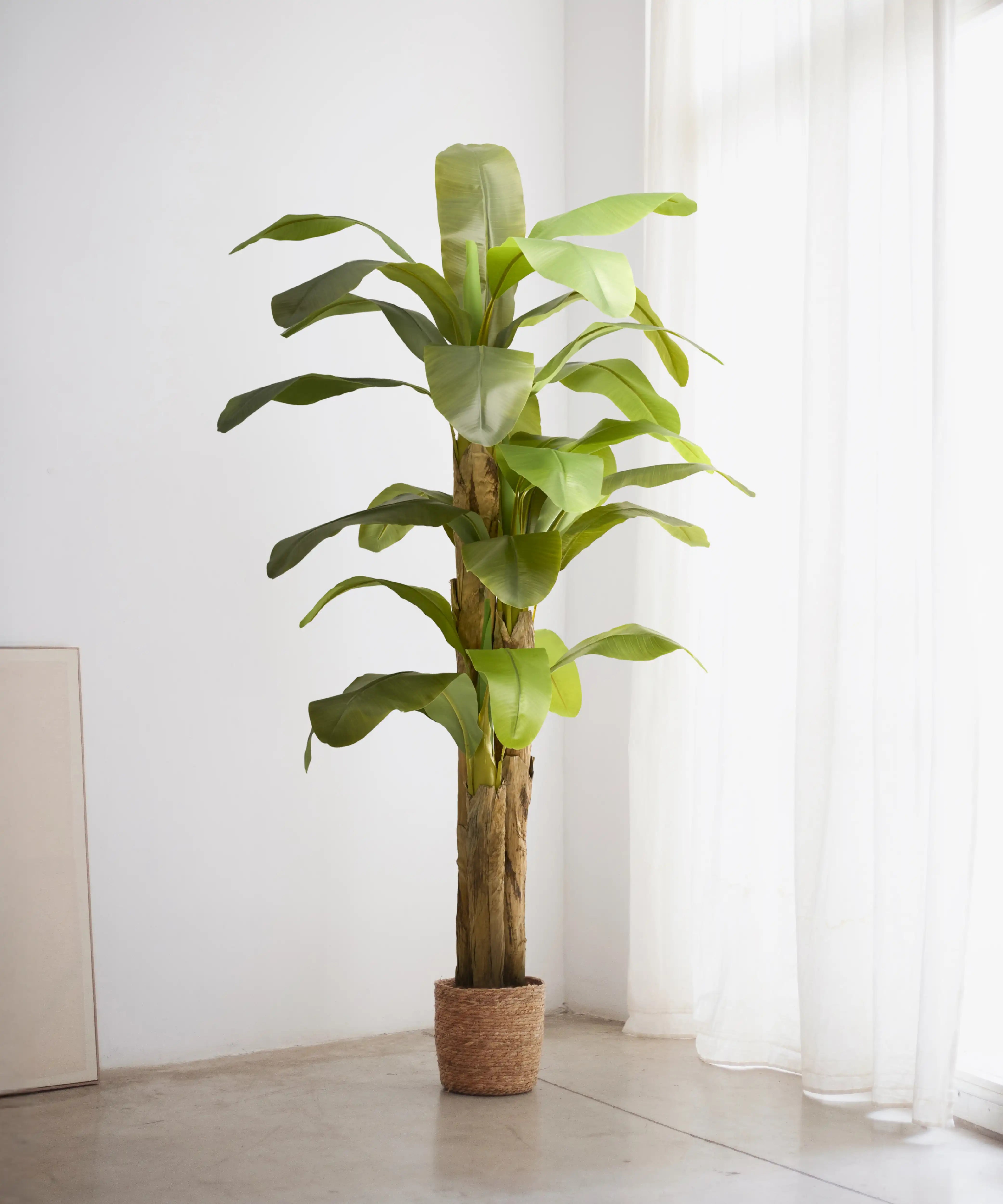 7FT Artificial Banana Tree