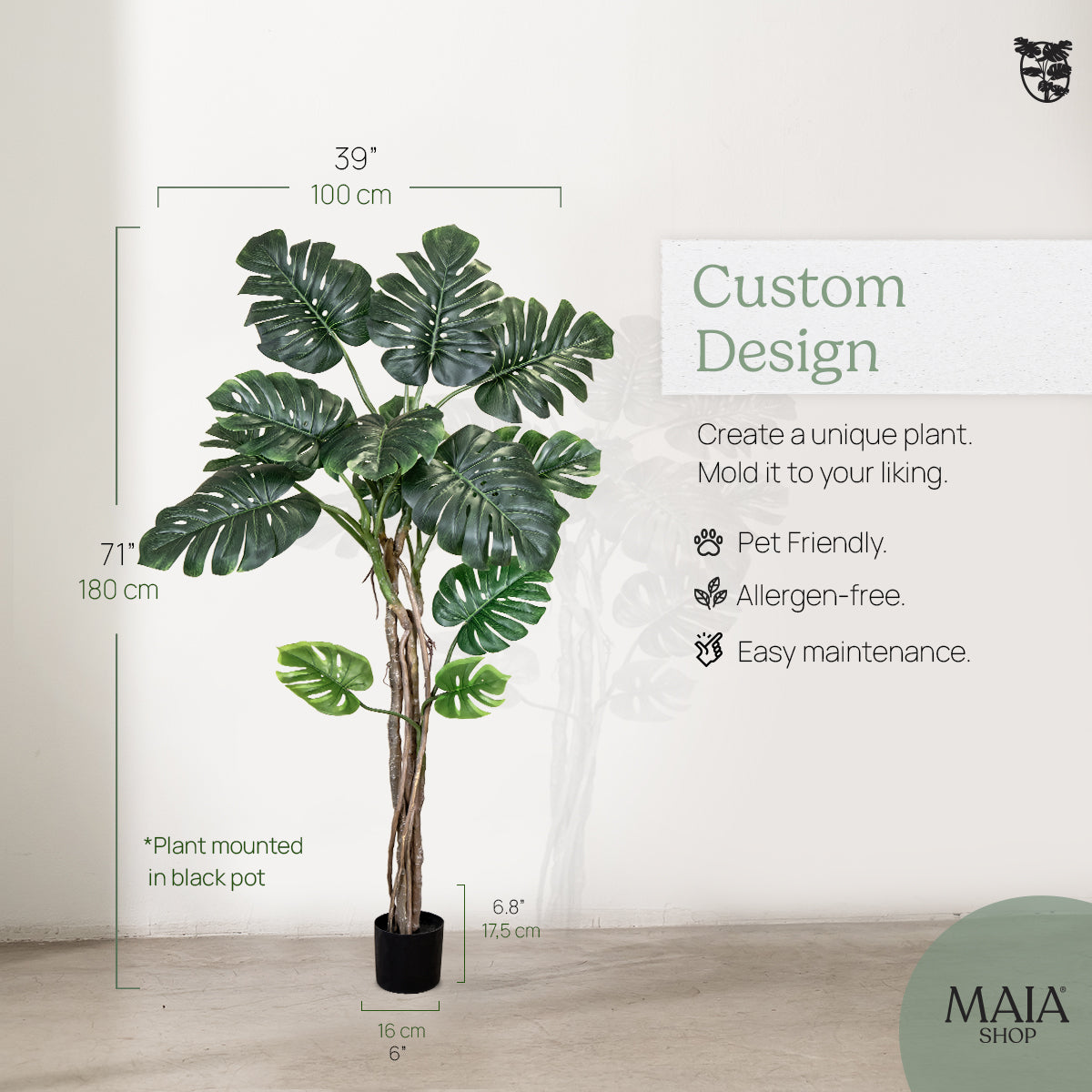 1467_Monstera_measurements