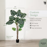 1467_Monstera_measurements