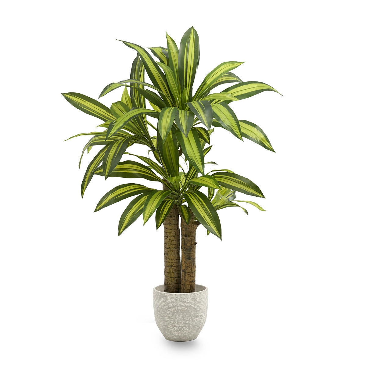 4FT Dracaena Silk Plant
