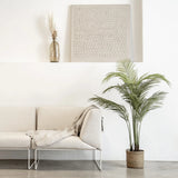 Palm Tree