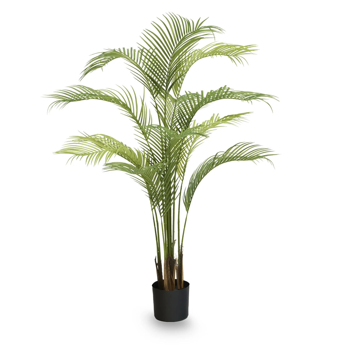 5.5' Palm Tree