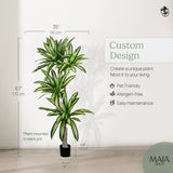 67" Dracaena Measures