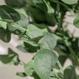 Artificial Eucaliptus Leaf