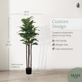 6FT Artificial Rubber Tree
