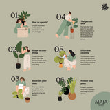 Characteristics Artificial Plants