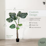 Monstera_1466_Measurements