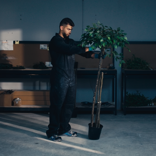 Handmade plant maia shop
