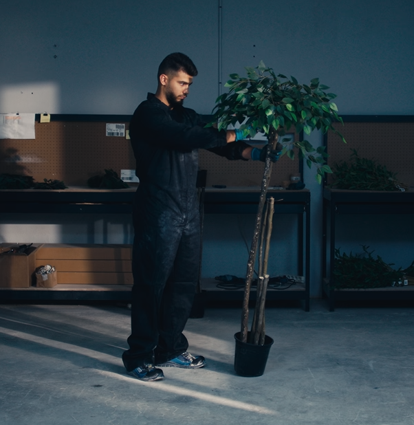 Handmade plant maia shop