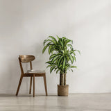 5FT Artificial Dracaena Tree