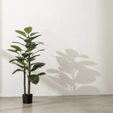 4FT Artificial Rubber Tree