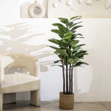 6FT Artificial Rubber Tree