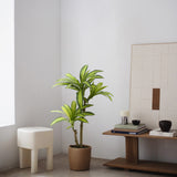 3.5FT Artificial Dracaena Tree