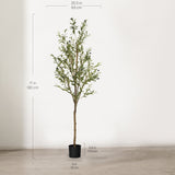 6FT Minimal Artificial Olive Tree
