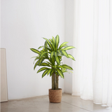 4FT Artificial Dracaena Tree