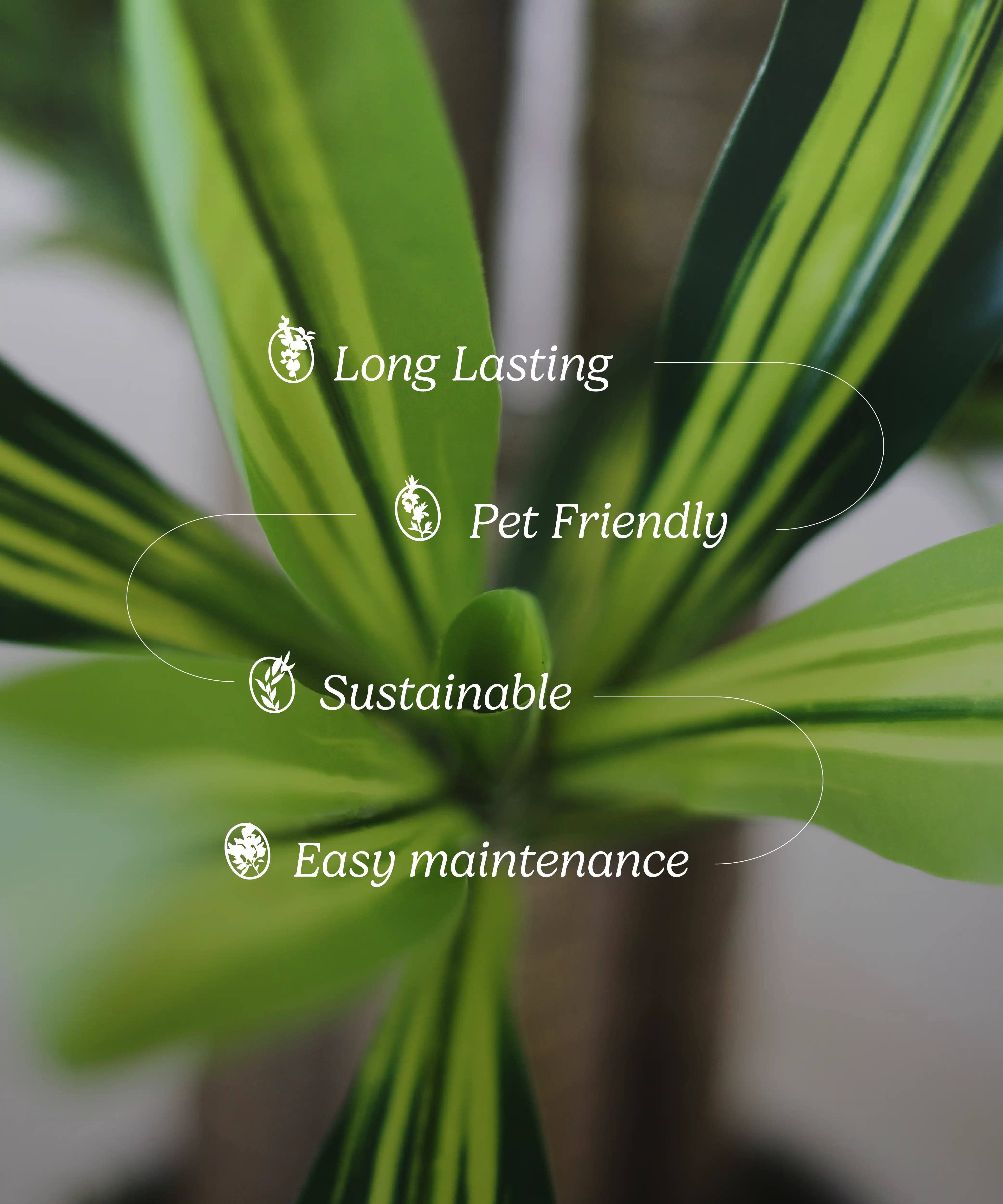 dracaena pet friendly 4FT Artificial Dracaena Tree