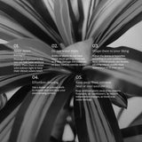 4.5FT Artificial Dracaena Tree