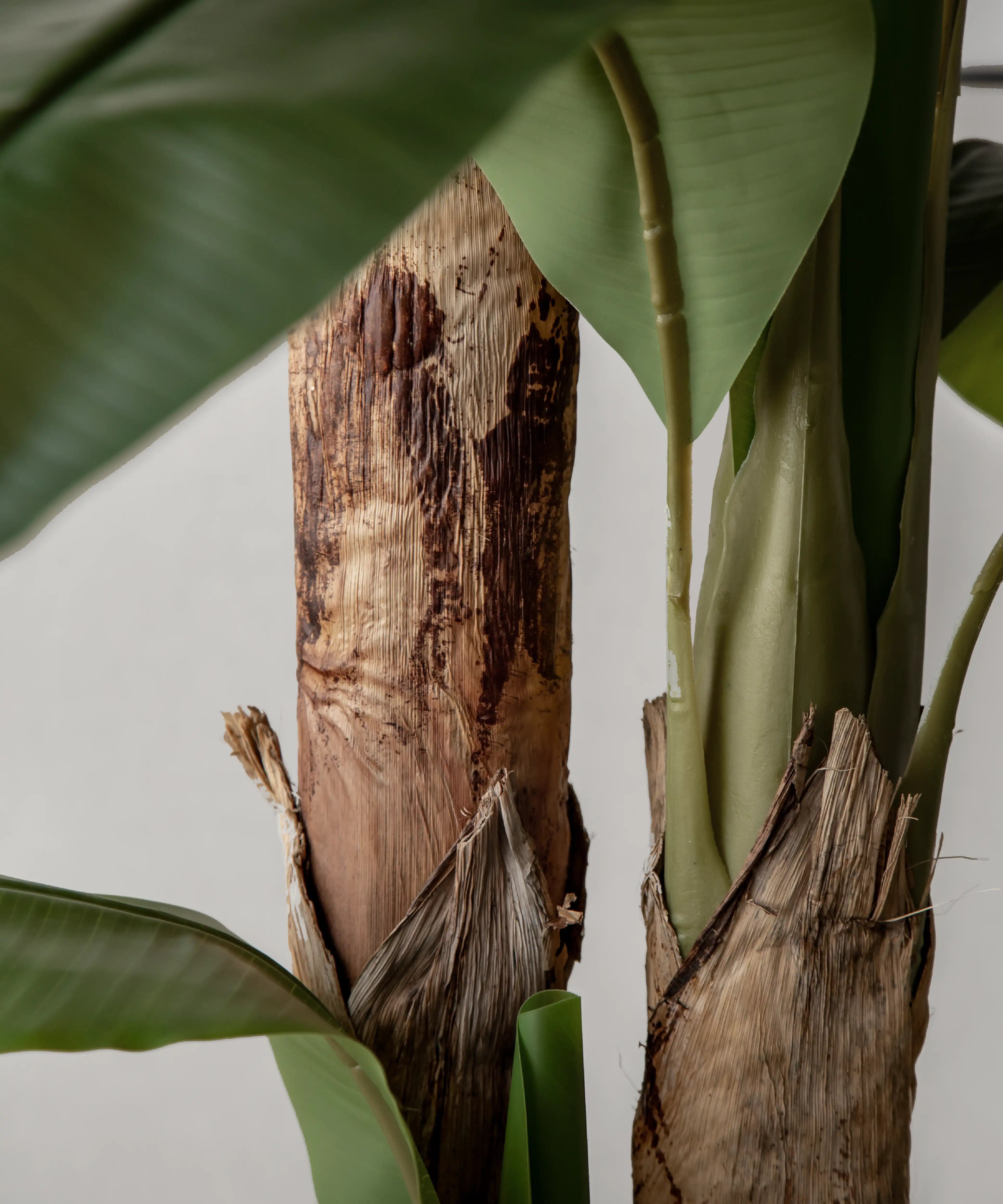 7FT Artificial Banana Tree