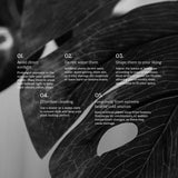 6FT Artificial Monstera Tree