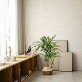 4FT Artificial Dracaena Tree 