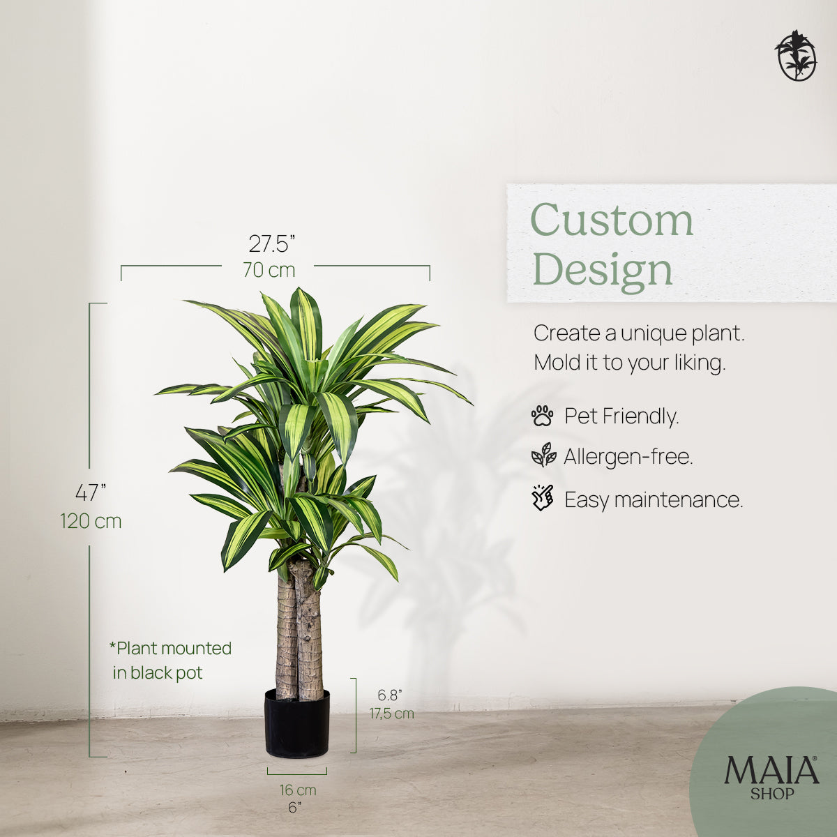 4FT Dracaena Tree Measures