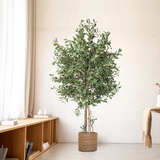 6.5FT Artificial Olive Tree