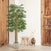6FT Artificial Bamboo Tree 
