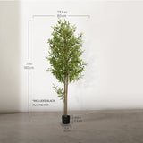 6' Artificial Olive Tree Measures