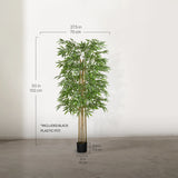 Artificial Bamboo Tree Measurements 
