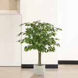 Artificial_Ficus_Tree_3.5FT_Measurements