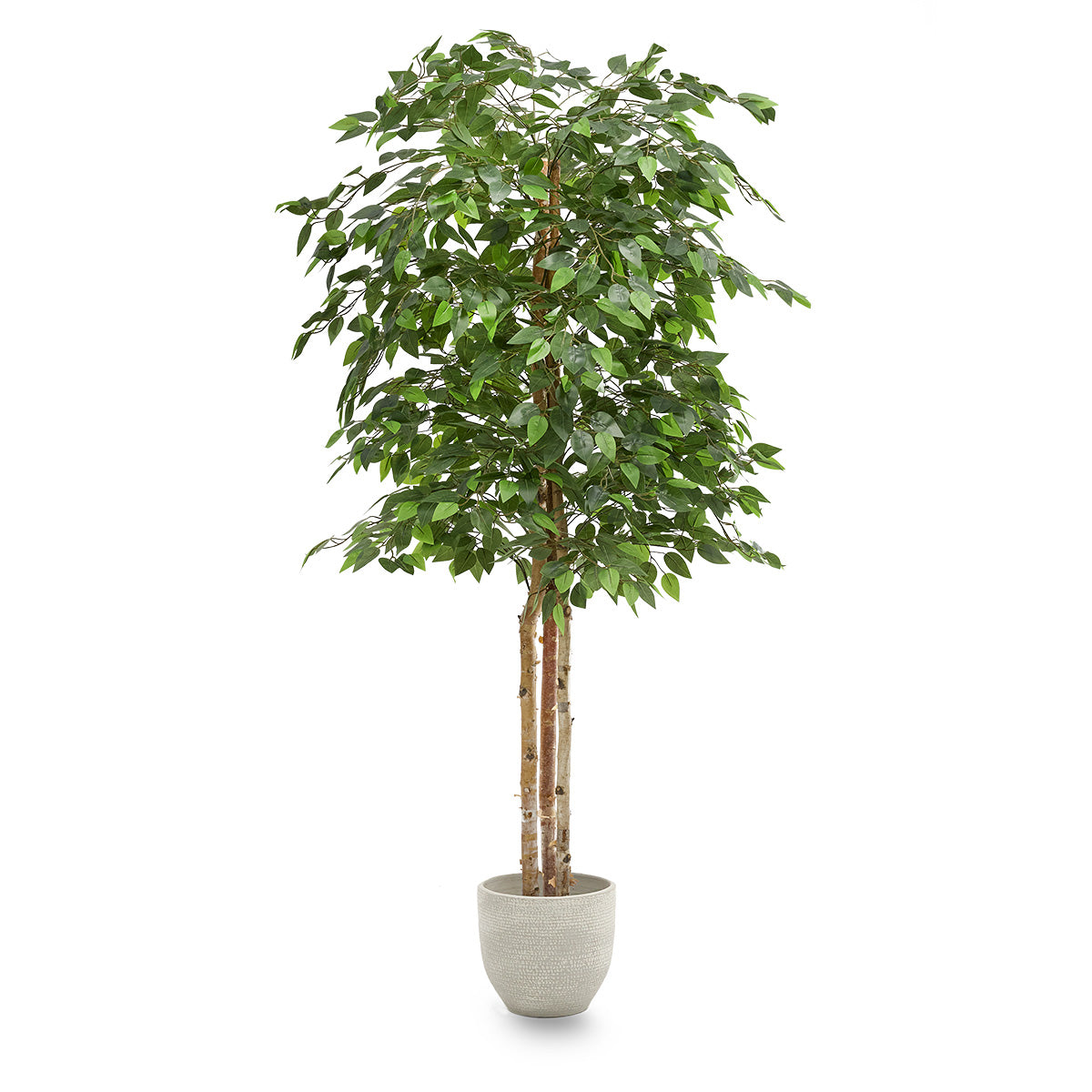 Artificial Ficus Tree 6FT 