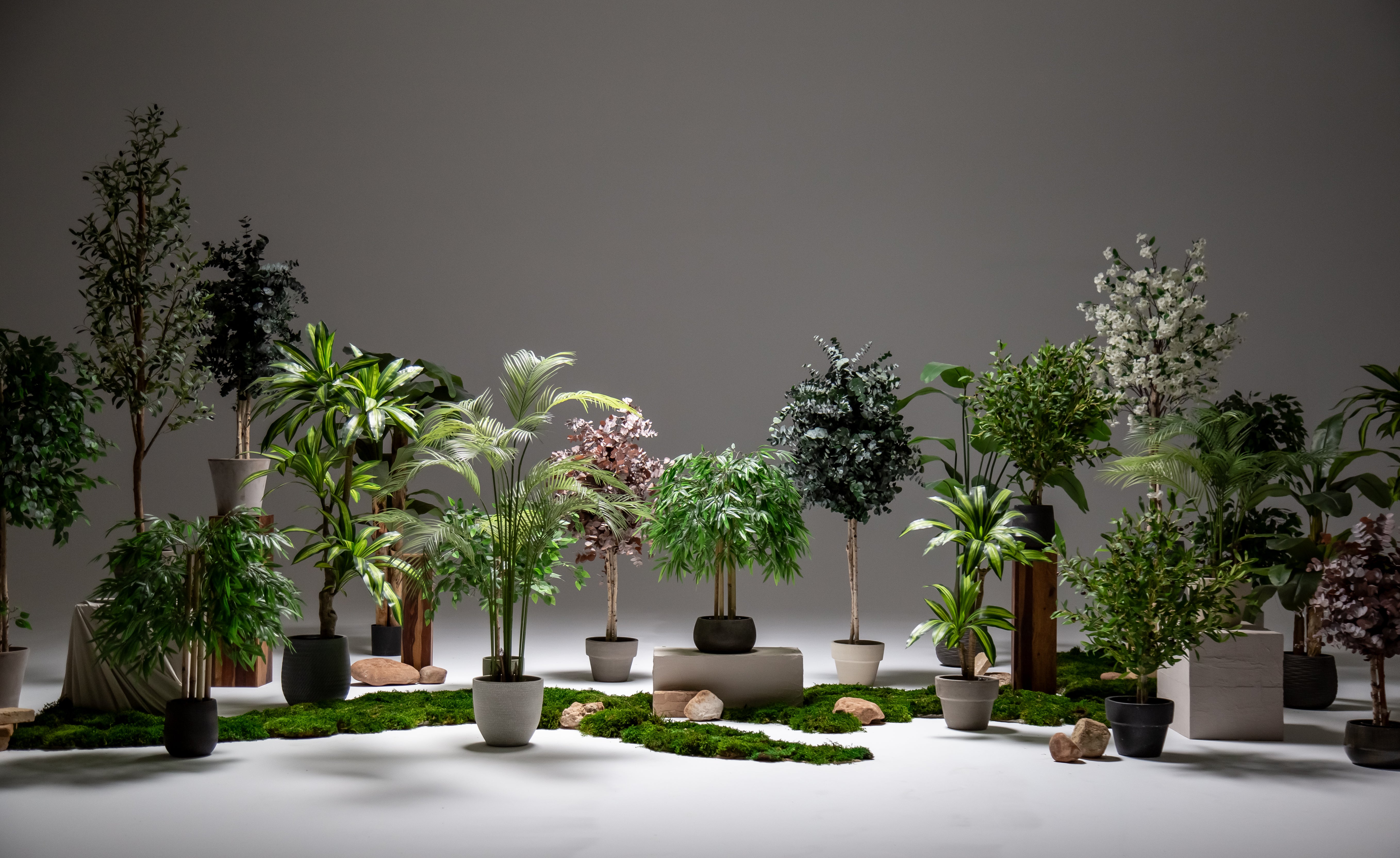 Artificial Plants MAIA SHOP