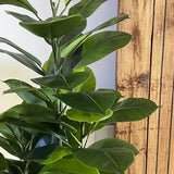 Artificial Rubber Tree Leaf