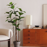 6FT Artificial Rubber Tree