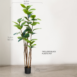 6FT Artificial Rubber Tree