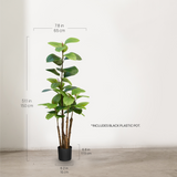 5FT Artificial Rubber Tree