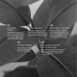 4FT Artificial Rubber Tree