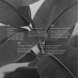 6FT Artificial Rubber Tree