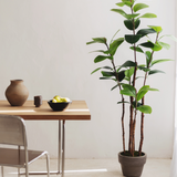 6FT Artificial Rubber Tree