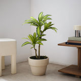 3.5FT Artificial Dracaena Tree
