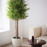 6.5FT Artificial Olive Tree