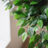 6.5FT Artificial Ficus Tree