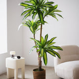 5.5FT Artificial Dracaena Tree