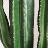 6.5FT Cactus Artificial Plant