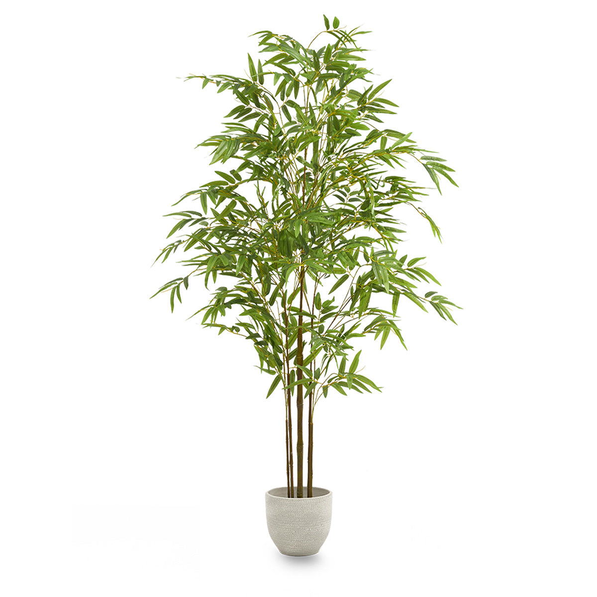 Minimal Artificial Bamboo Tree 6FT