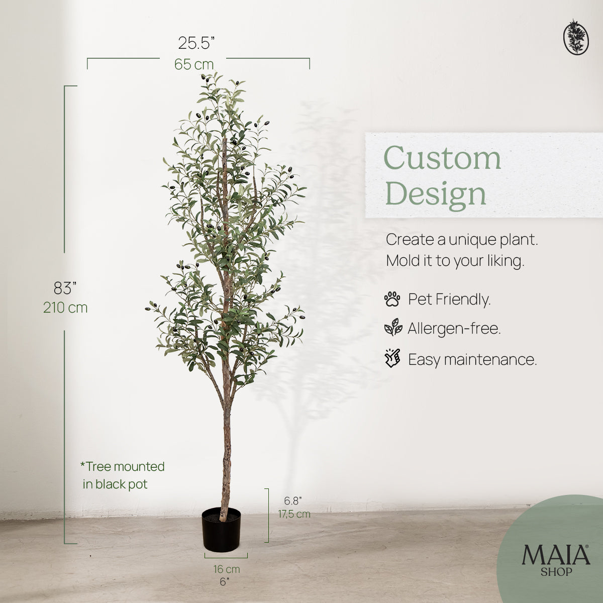Tall Olive Tree Measures